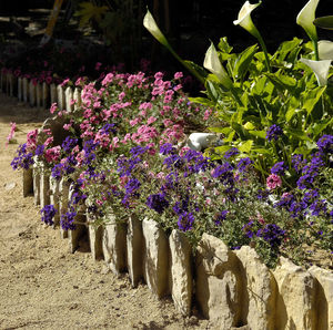 cordolo da giardino