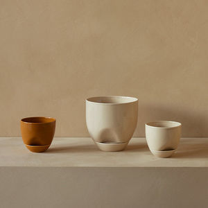 vaso contemporaneo
