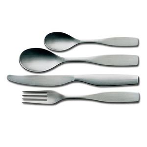 posata in acciaio inox