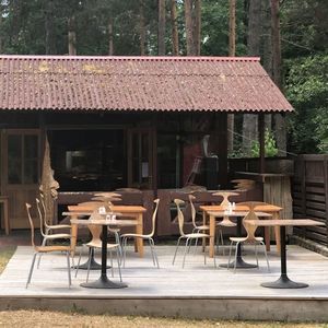 sedia design scandinavo