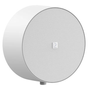 altoparlante da soffitto 1