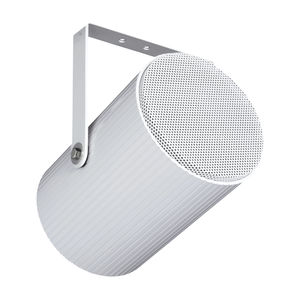 cassa audio da soffitto