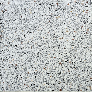 piastrella in terrazzo 1