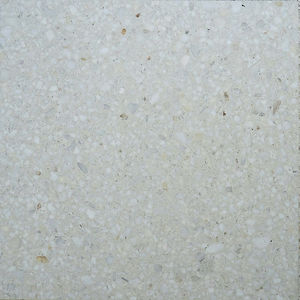 piastrella in terrazzo 1
