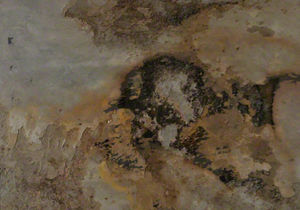 pannello decorativo per interni