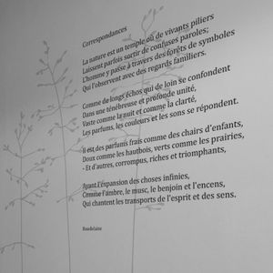 adesivo da parete con testo