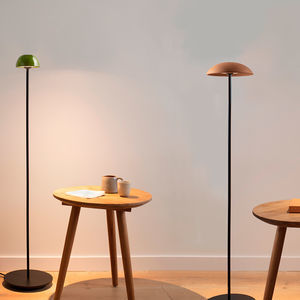 lampada da terra 1
