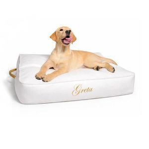 cuscino per animali domestici (cani e gatti)