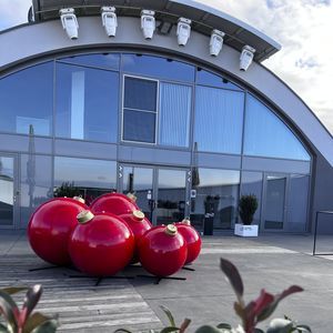 decorazione natalizia in fibra di vetro
