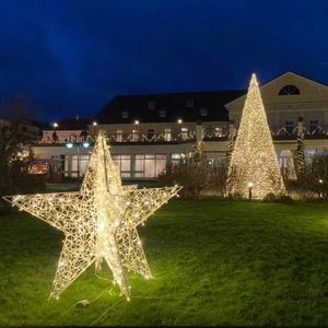 decorazione natalizia luminosa a LED 1