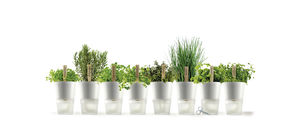 vaso da giardino in plastica
