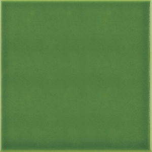piastrella in ceramica 1