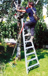 scala a pioli per frutteto