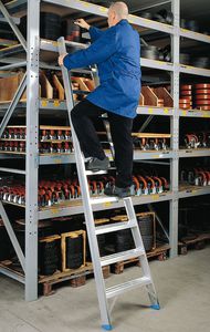 scala professionale da lavoro 1