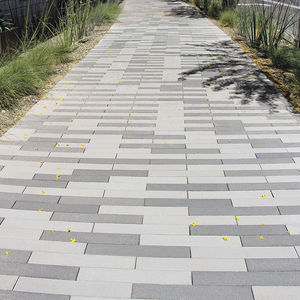 pavé in pietra 1
