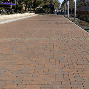 pavé in pietra 1