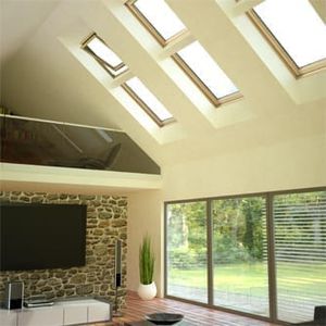 finestra da tetto in PVC
