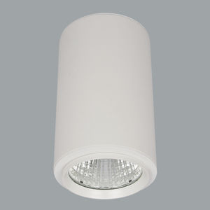 downlight sporgente