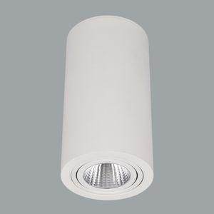 downlight sporgente