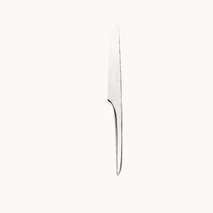 coltello da dessert con manico in acciaio inossidabile