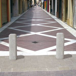 dissuasore di sicurezza 1