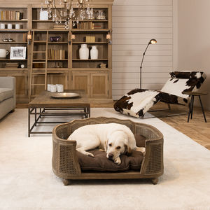 letto per cane