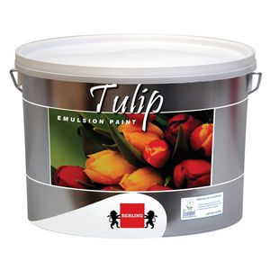 pittura decorativa 1