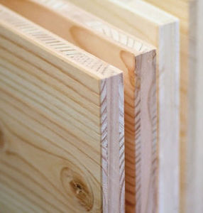 pannello in legno da costruzione