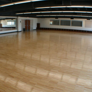 pavimentazione sportiva da interno