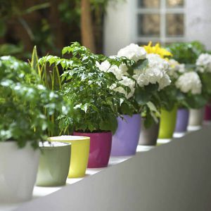 vaso da giardino in plastica