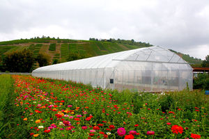 serra contract / da giardinaggio / botanica / a tunnel monofalda