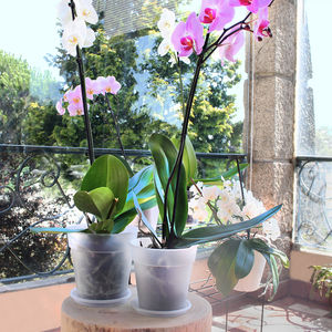 vaso da giardino in polipropilene