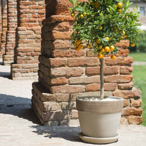 vaso da giardino in terracotta 1
