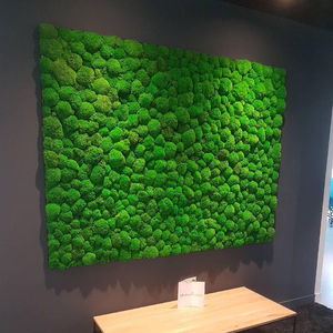 parete vegetale stabilizzata / su misura / in muschio / da interno