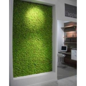 quadro vegetale stabilizzato