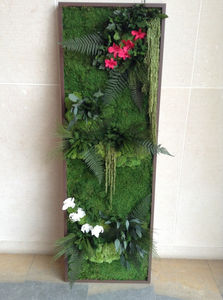 quadro vegetale stabilizzato