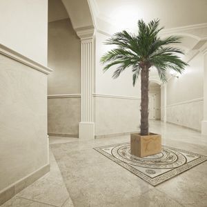 pianta ornamentale stabilizzata