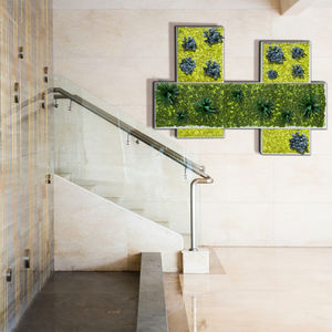 quadro vegetale stabilizzato
