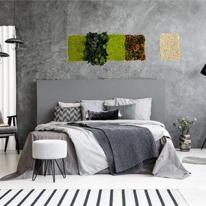 quadro vegetale stabilizzato