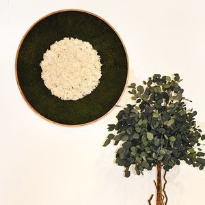 quadro vegetale stabilizzato