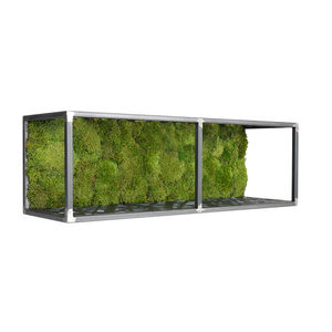 quadro vegetale stabilizzato
