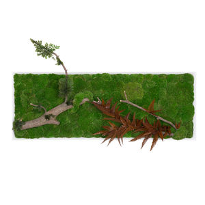 quadro vegetale stabilizzato