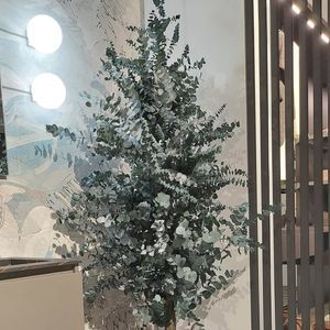 pianta ornamentale stabilizzata