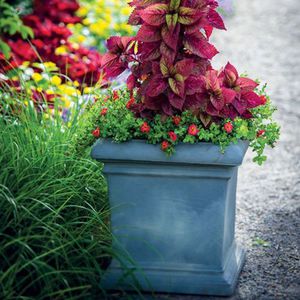 vaso da giardino in plastica