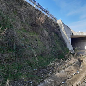 muro di contenimento per vegetazione 1