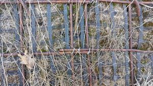 muro di contenimento per vegetazione