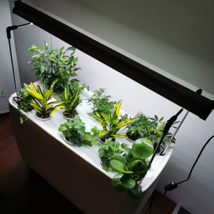 luce da coltivazione