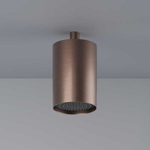 soffione doccia da soffitto 1