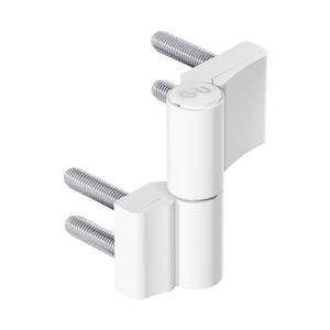 cerniera per porta 1