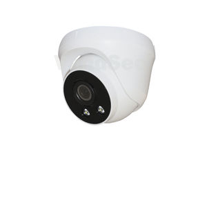 camera di sicurezza IP